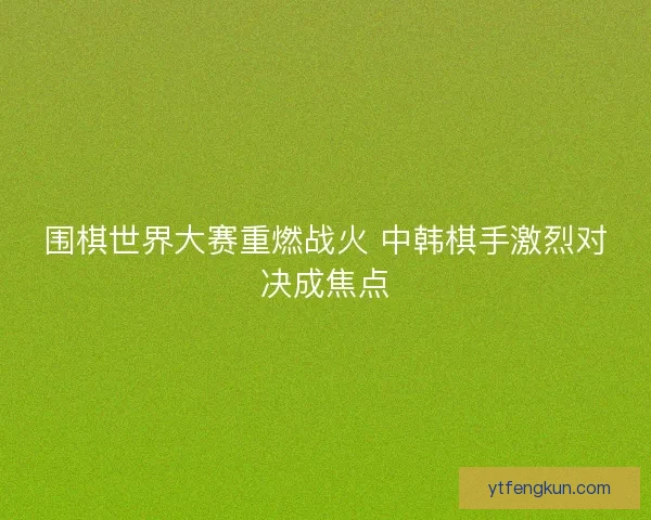 围棋世界大赛重燃战火 中韩棋手激烈对决成焦点
